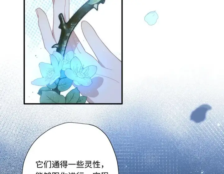 《转生魔女养成了圣殿骑士》第十三话 尼尔丝老师？图3