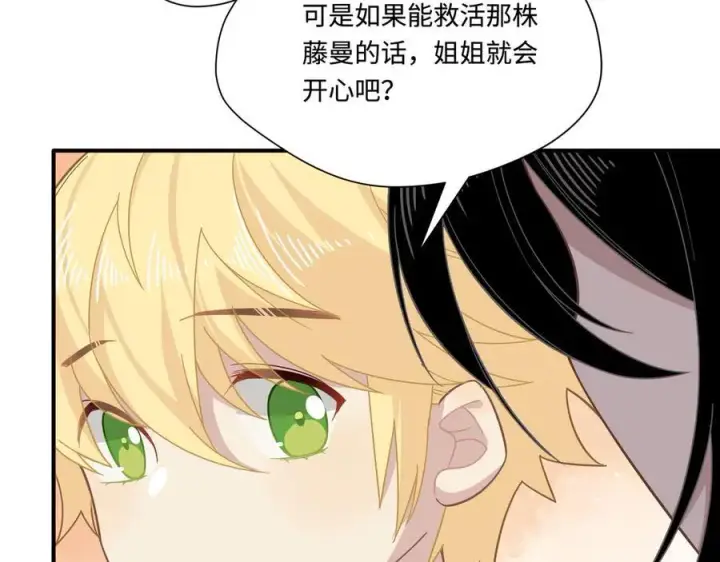 《转生魔女养成了圣殿骑士》第十三话 尼尔丝老师？图60