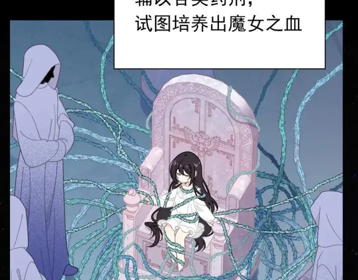 漫画《转生魔女养成了圣殿骑士》第29话 过去篇（2)第12张图