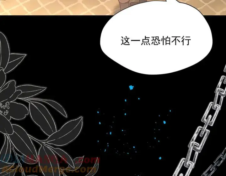 《转生魔女养成了圣殿骑士》第56话 属于自己的力量图29