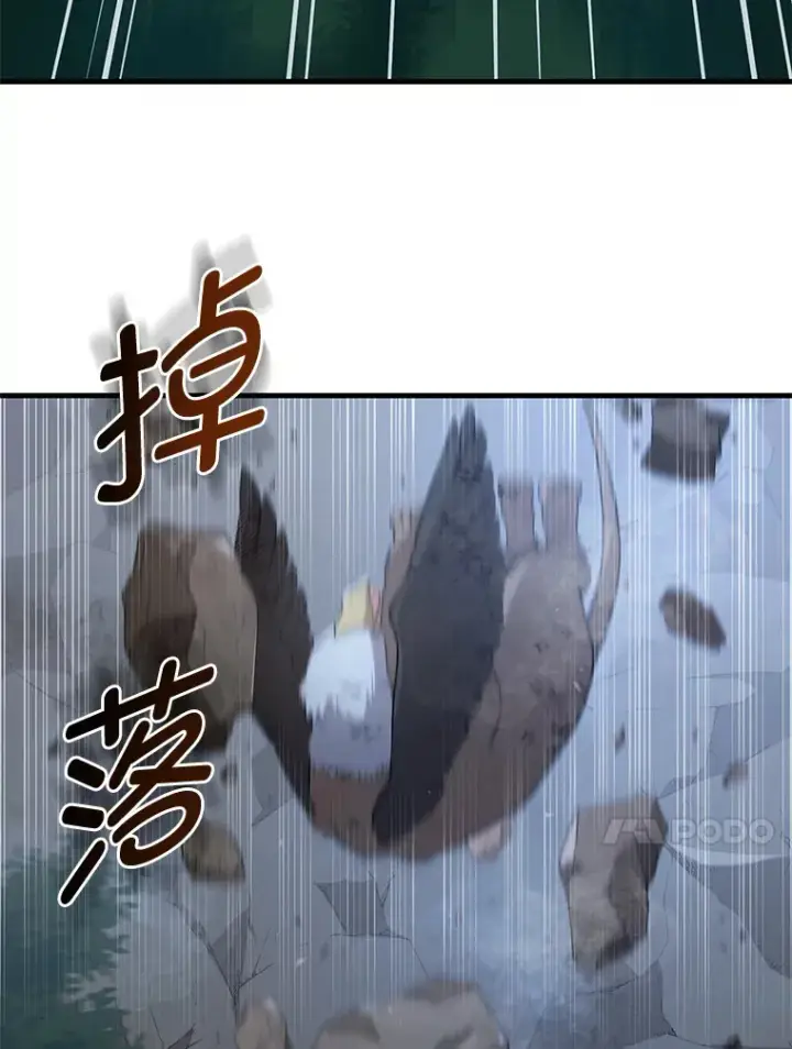 漫画《转生专家躺赢的方法》19.狮鹫宝宝第100张图