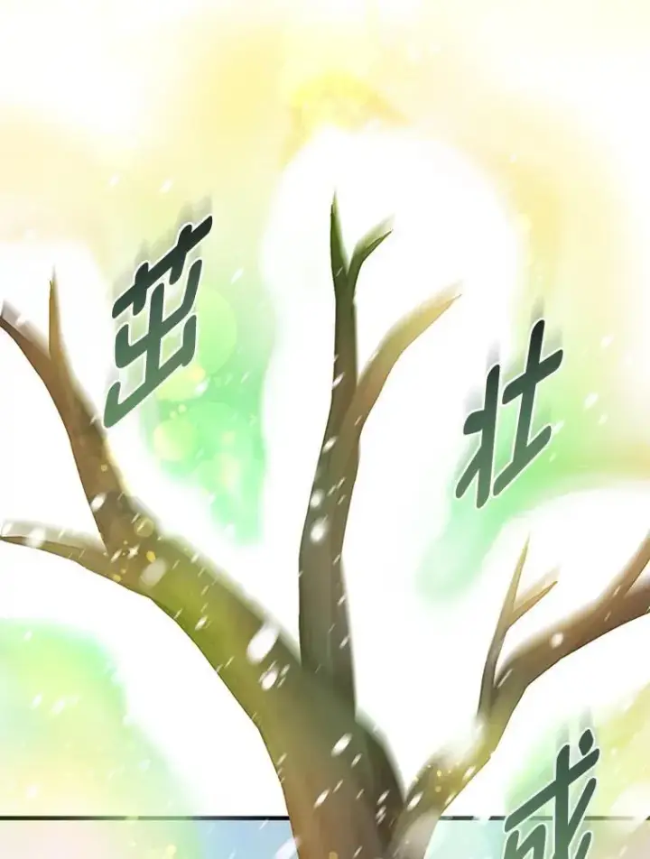 《转生专家躺赢的方法》38.魔法师们的工作图44