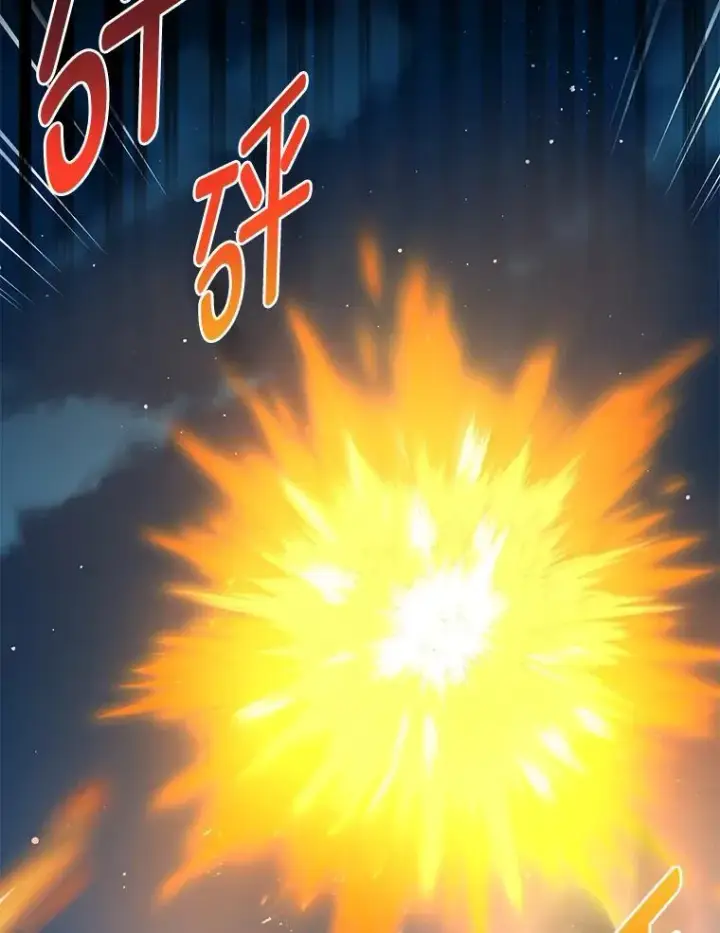 《转生专家躺赢的方法》43.夜空下的烈火图37