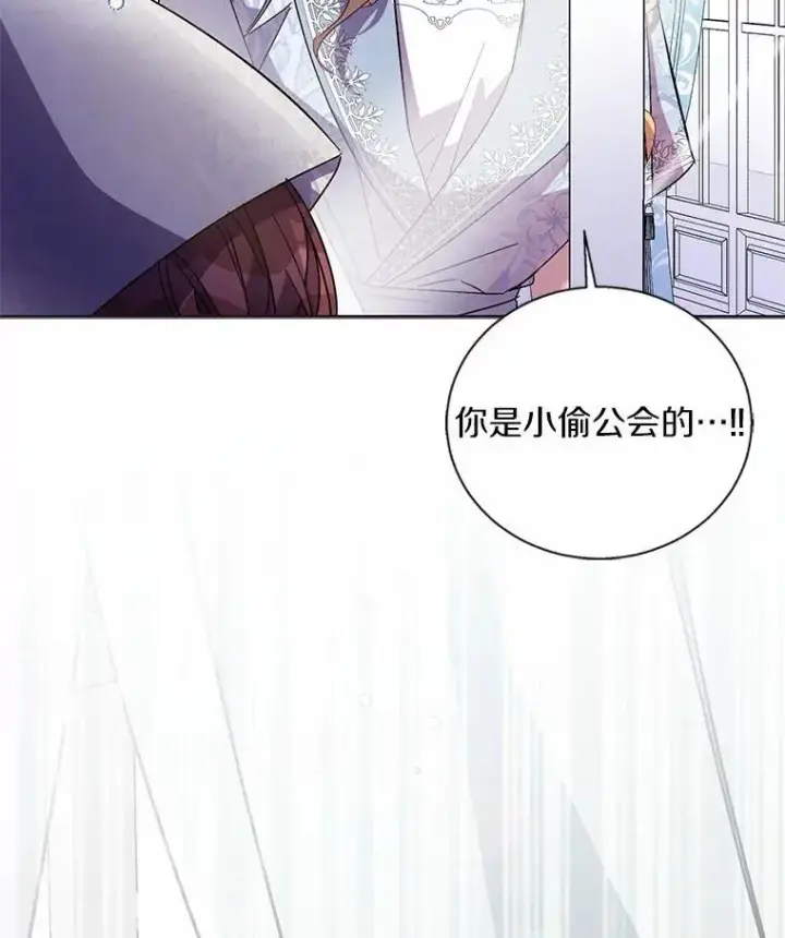 《作为假圣女，却被众人迷恋？》45.魔法夜市图28