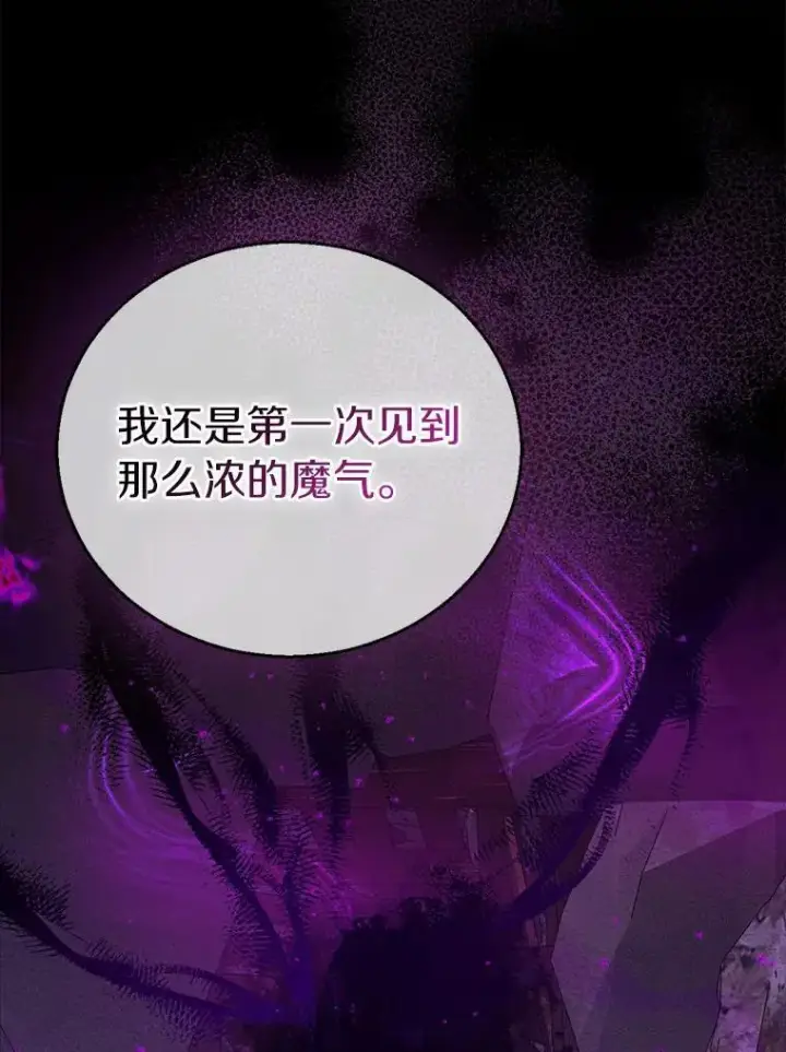 《作为假圣女，却被众人迷恋？》52.新入场的神（本季完）图162