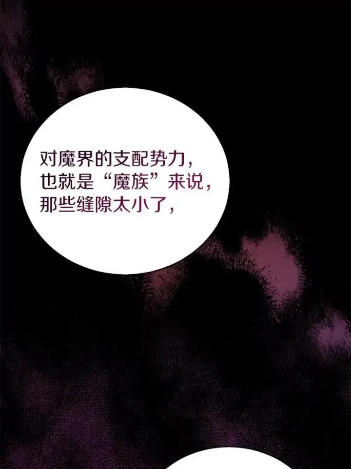 《作为假圣女，却被众人迷恋？》53.魔界裂缝图54
