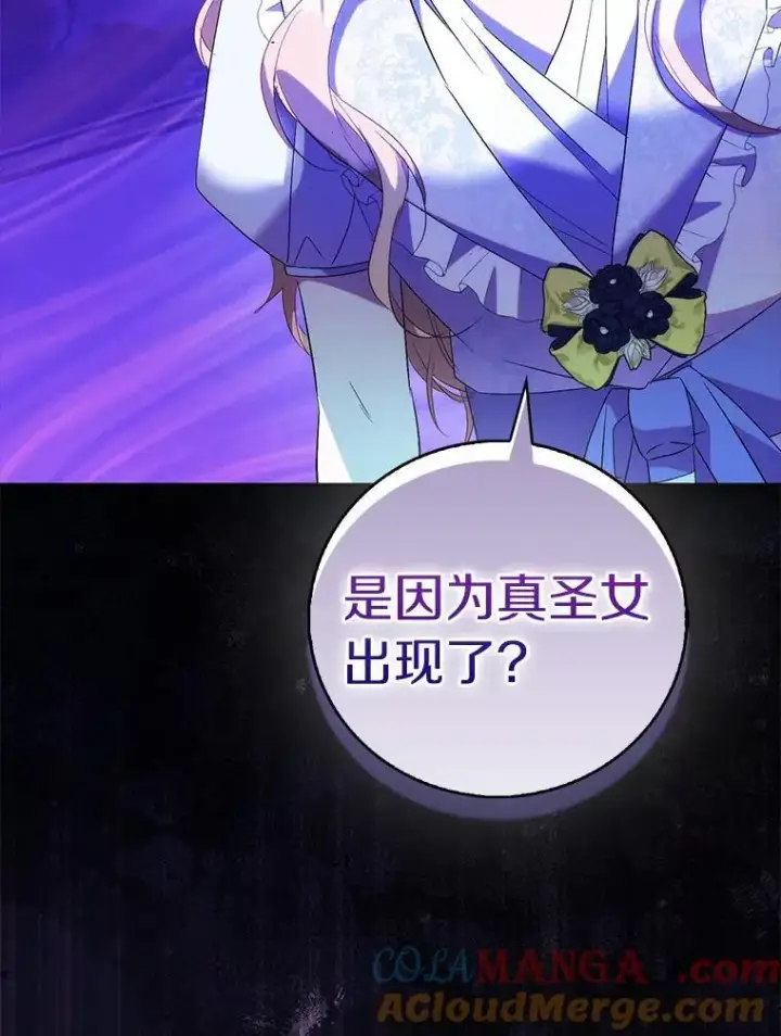 漫画《作为假圣女，却被众人迷恋？》67.消失的神谕第29张图