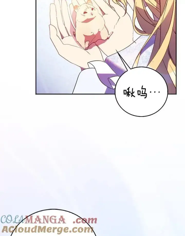 漫画《作为假圣女，却被众人迷恋？》67.消失的神谕第41张图