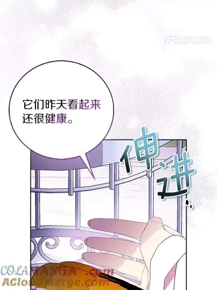 《作为假圣女，却被众人迷恋？》69.不祥之兆图33