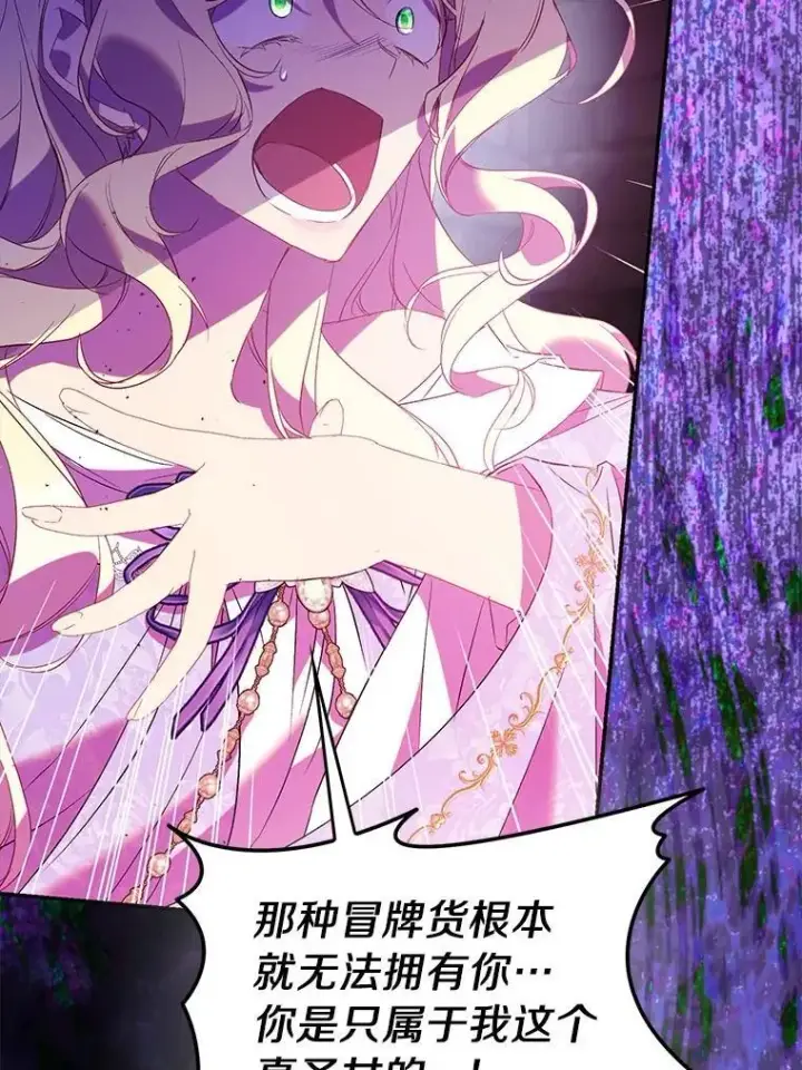 漫画《作为假圣女，却被众人迷恋？》75.直闯敌营第28张图