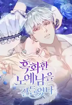 《驯服黑化的野兽》封面