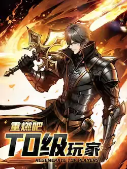 《重燃吧,T0玩家!》封面